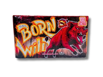 Bateria BORN WILD, 100 strzałów, 25 mm - Srpyro