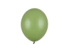 Balony lateskowe 23 cm - rozmarynowy - 100 szt.