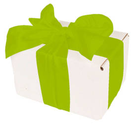Bielone Pudełko kartonowe - klapowe - 13 x 10 x 8 cm - tasiemka zieloną