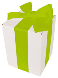 Bielone Pudełko kartonowe - klapowe - 15 x 15 x 20 cm - tasiemka zielona