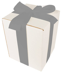 Bielone Pudełko kartonowe - klapowe - 20 x 20 x 25 cm - tasiemka srebrna