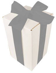 Bielone Pudełko kartonowe - klapowe - 25 x 15 x 15 cm - tasiemka srebrna