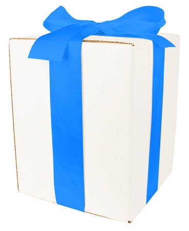Bielone Pudełko kartonowe - klapowe - 20 x 20 x 25 cm - tasiemka niebieska